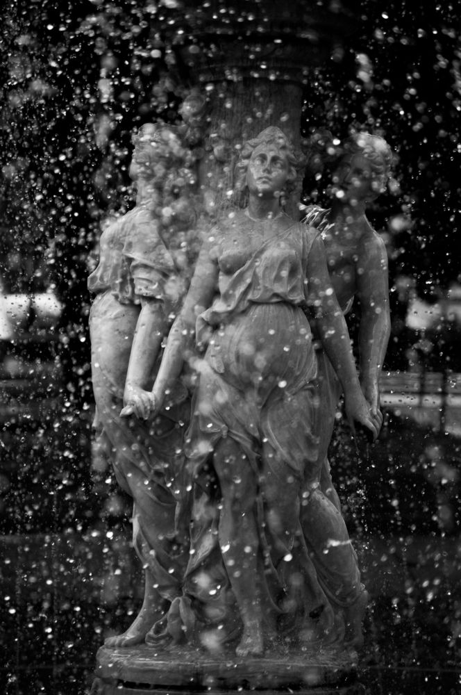 Photograph by João Marcos Silva do Nascimento