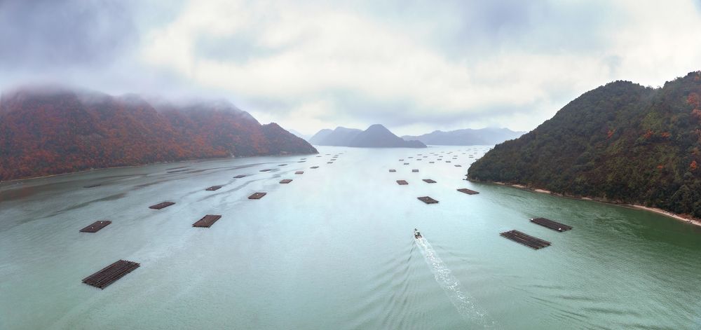 Морская акваферма