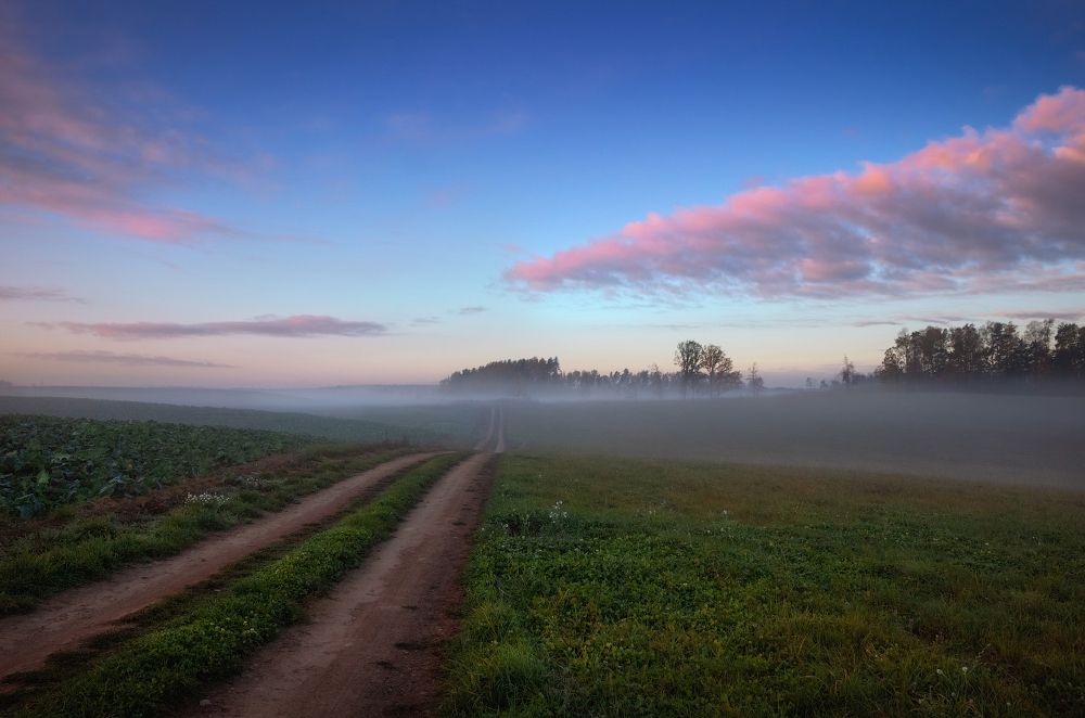 Дорога в дымку