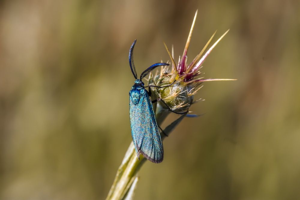 Фотография автора Dolli Pogrebnaya
