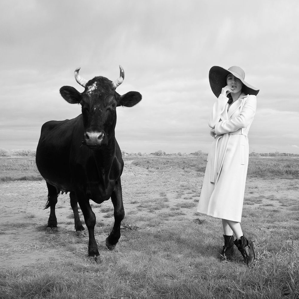 Photograph by Михаил Потапов