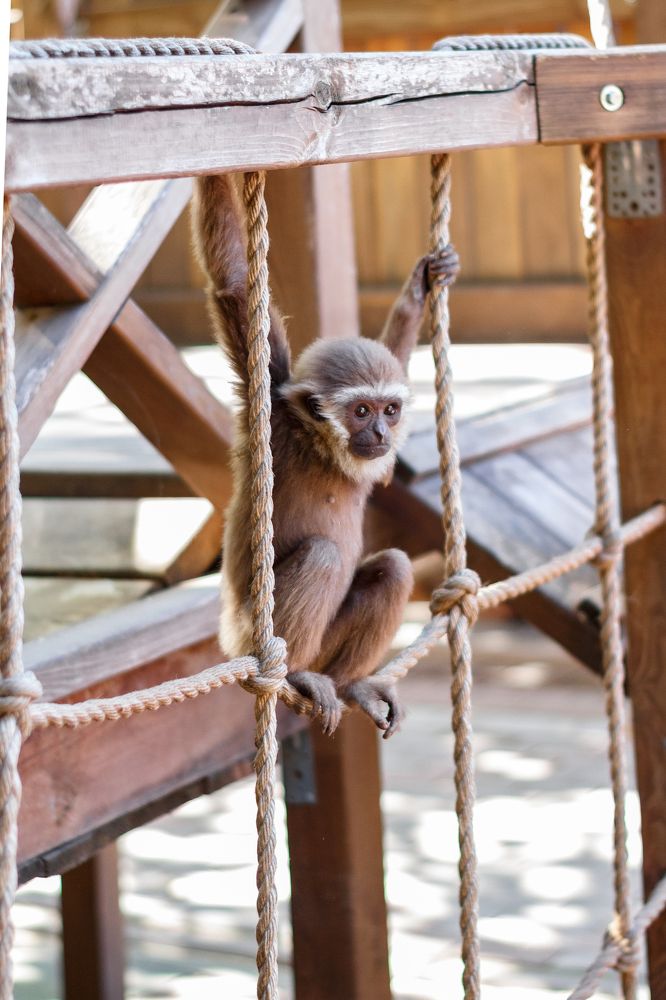 Фотография автора Евгения Ружанская