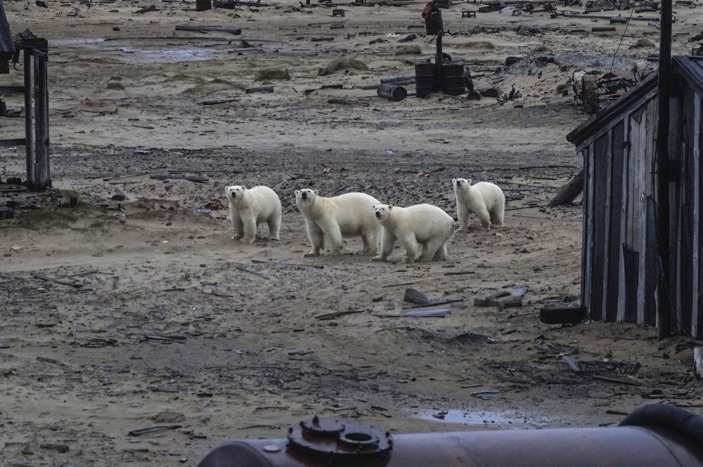 целая семья
