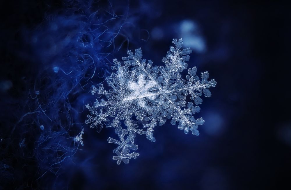 Фотография автора Dolli Pogrebnaya