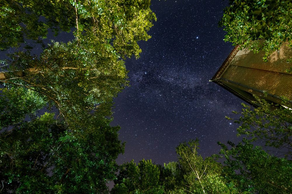 Photograph by Ришат Хабибов