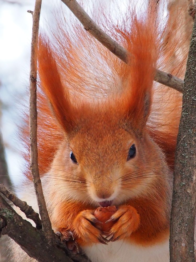 Ну вот поспали, теперь можно и поесть.