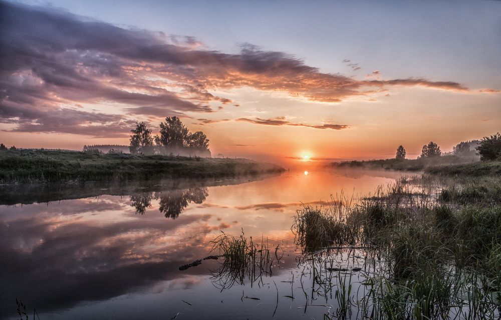 Восторг и Вдохновение...