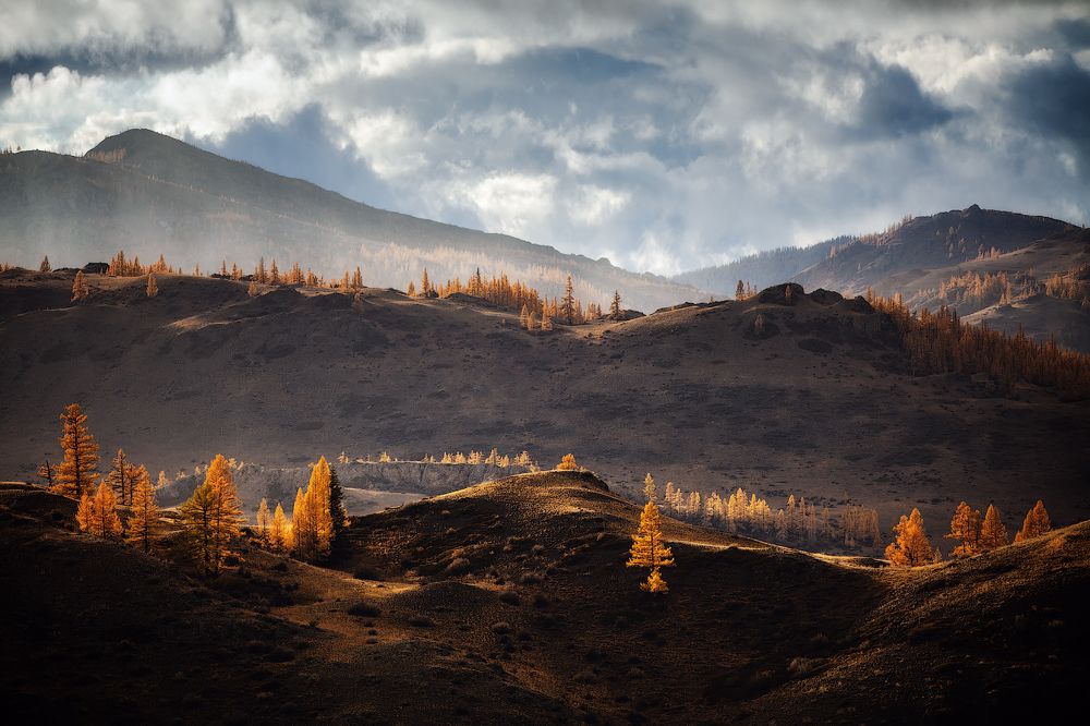 Солнечный дождь....