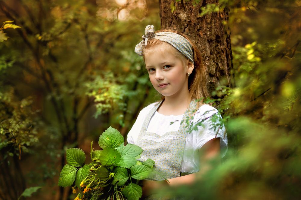 Лесная история