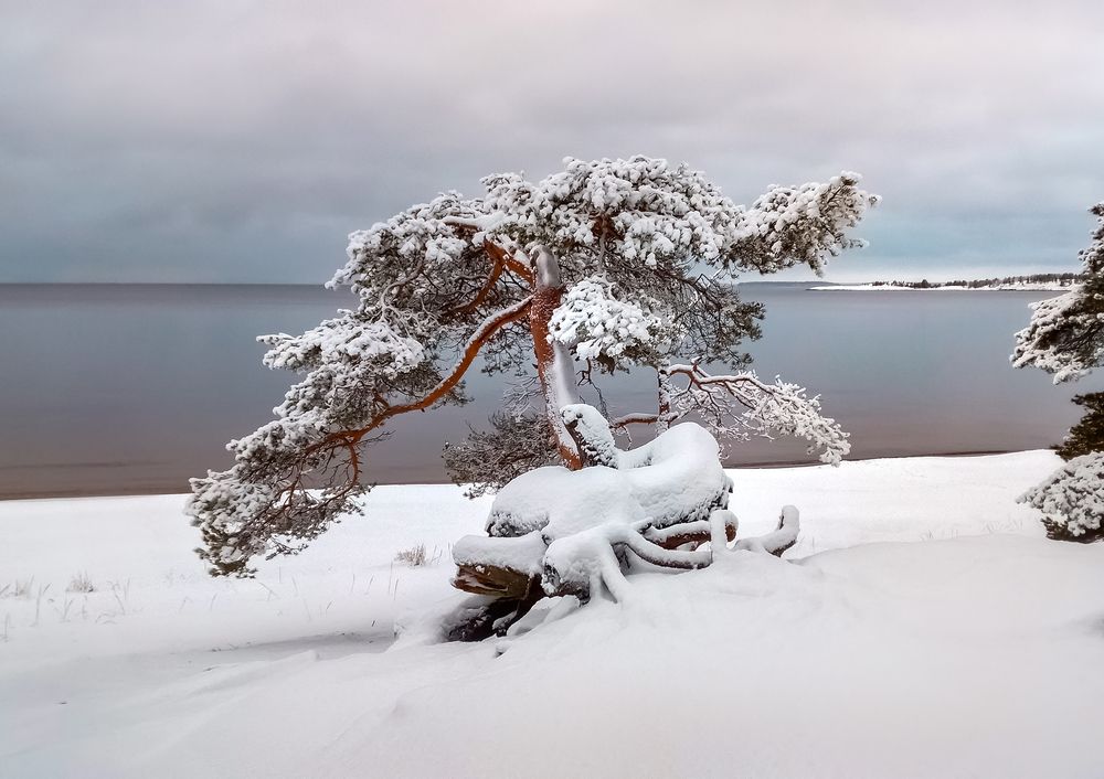Декабрьская Ладога.