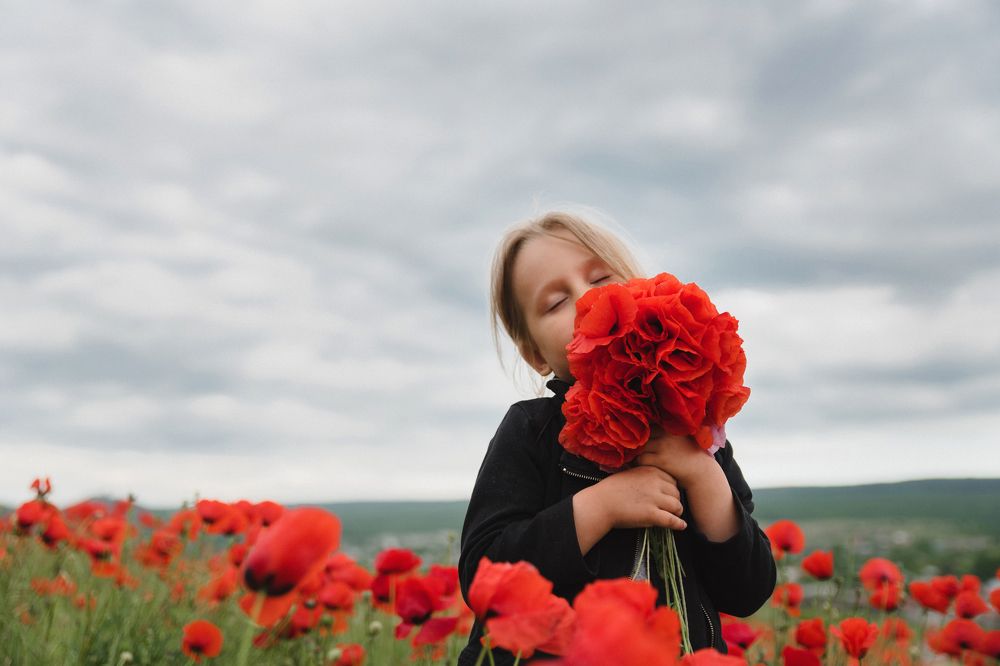 Запах маковых полей