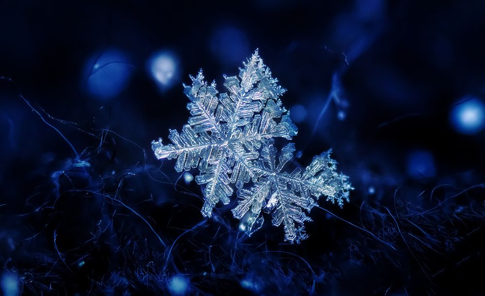 Фотография автора Dolli Pogrebnaya