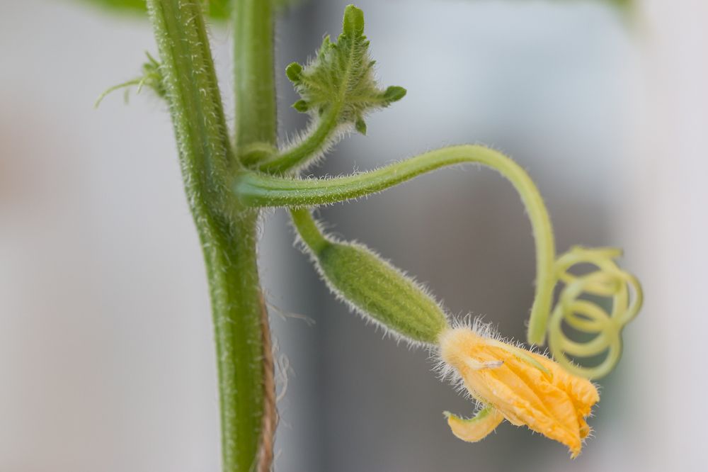 Photograph by Lana Wolf