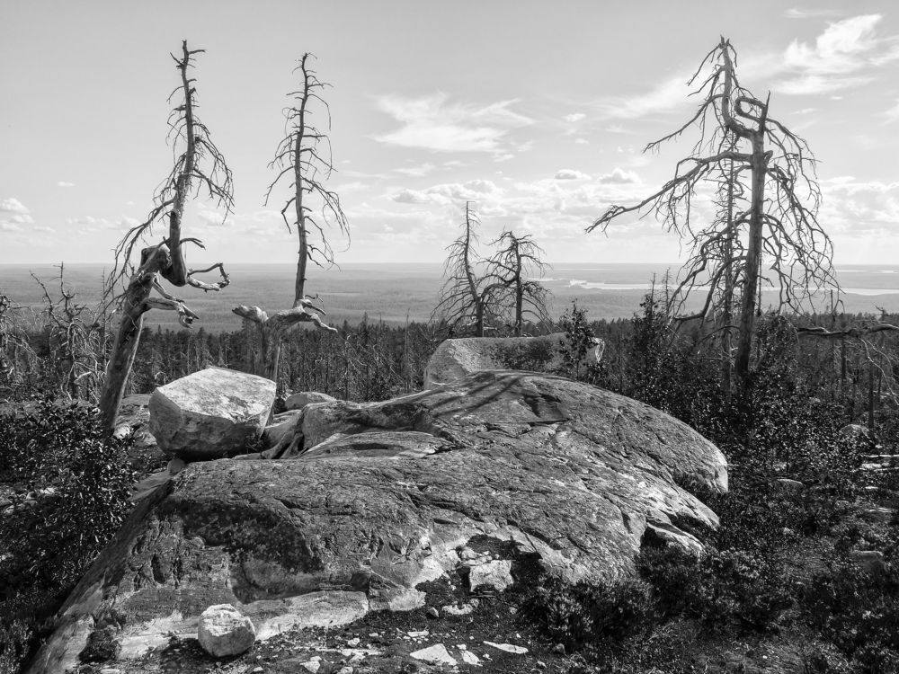 Photograph by Александр Авдушев