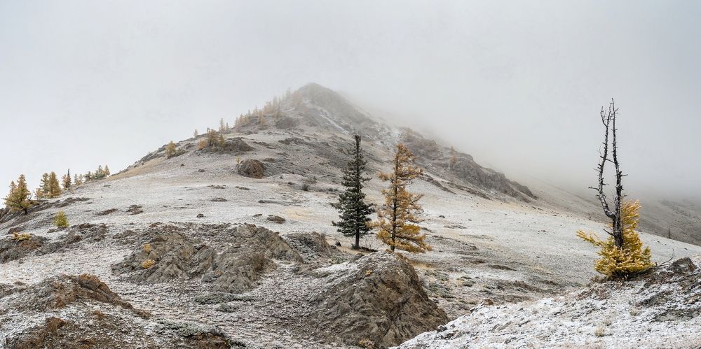 Три цвета осени