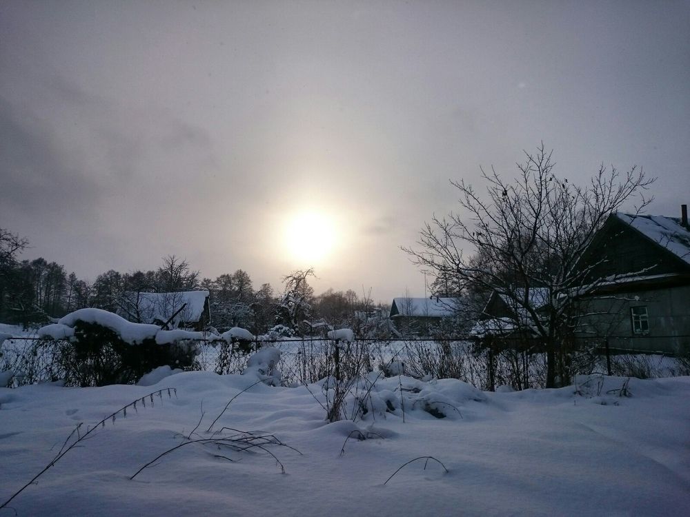 Солнце нового года