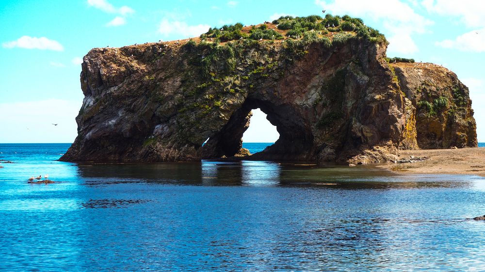 Скалы на Птичьем мысе