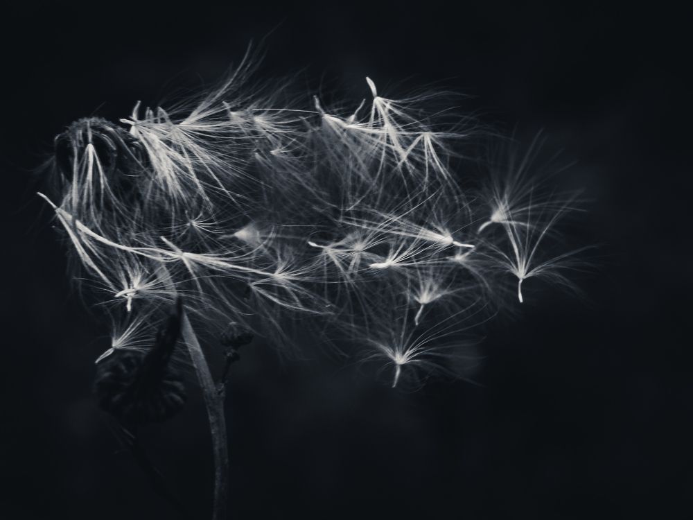 Пора в путь