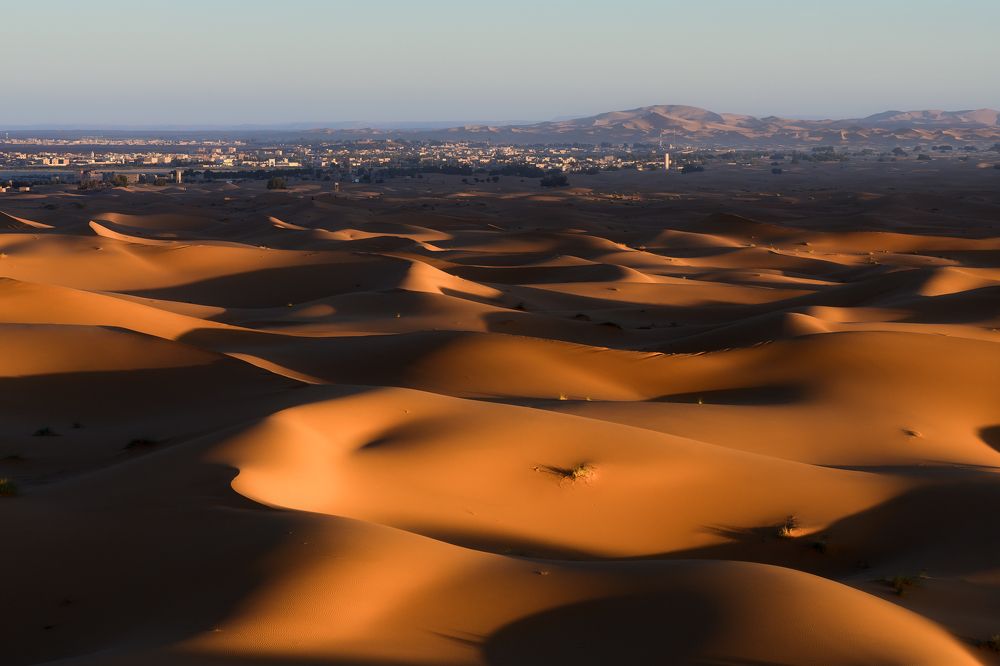 оранжевое утро