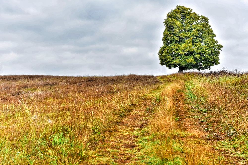 Одиночество