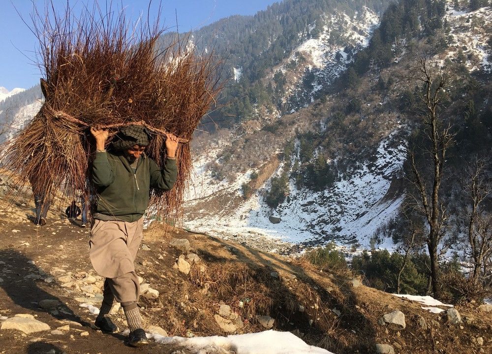 Preparation for winter