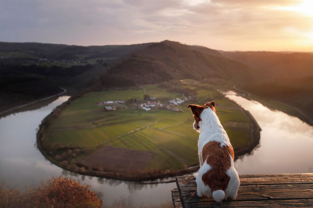 Photograph by Анна Аверьянова