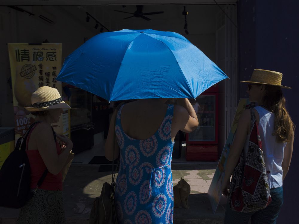 Blue is the Warmest Color