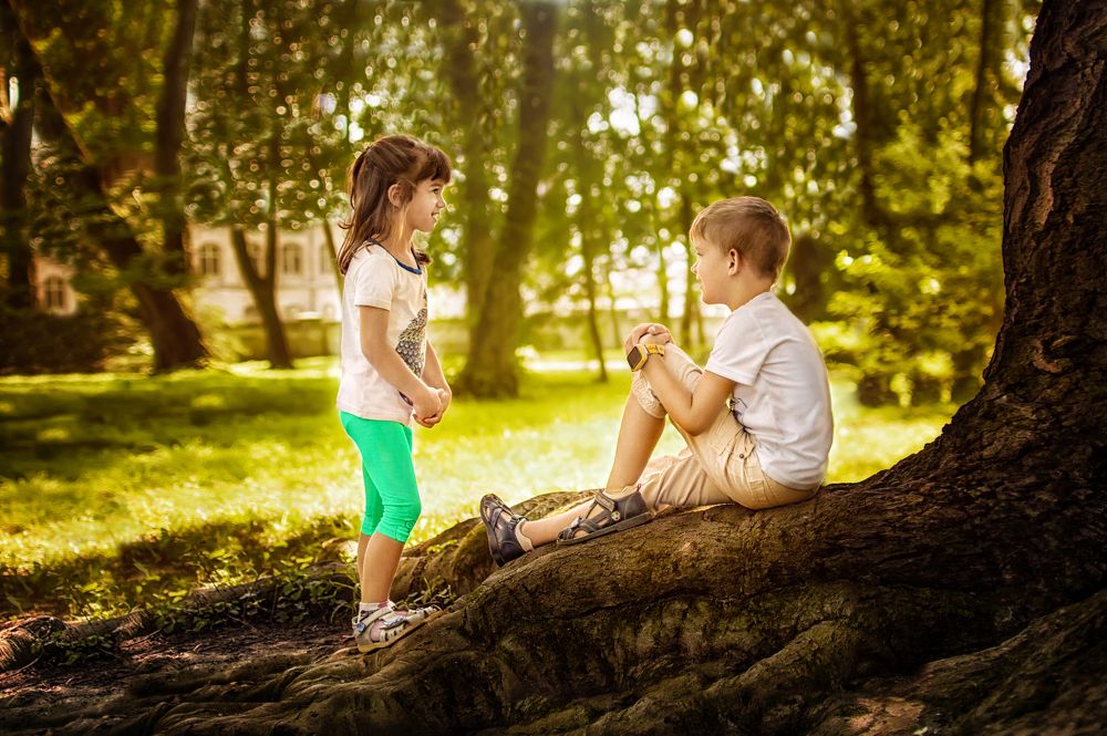 В тени столетнего дуба