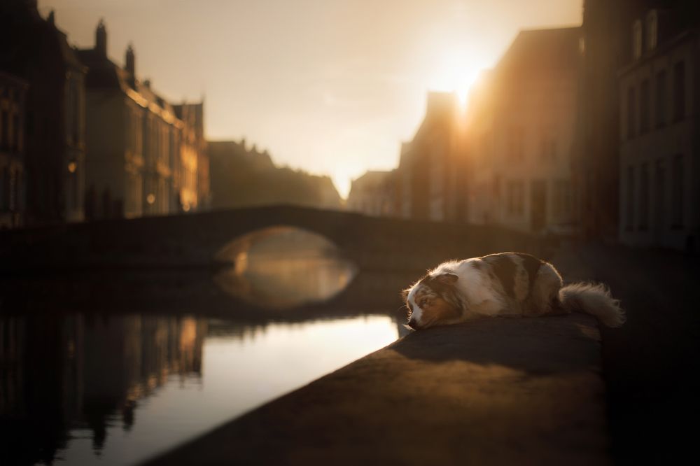 Photograph by Анна Аверьянова