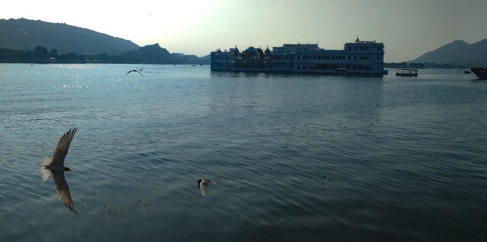 lake view Udaipur