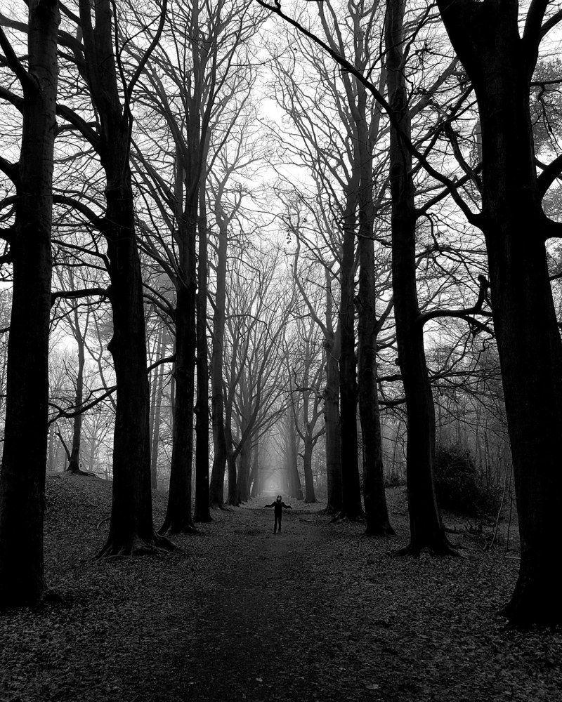 Little ghost in a haunted woods