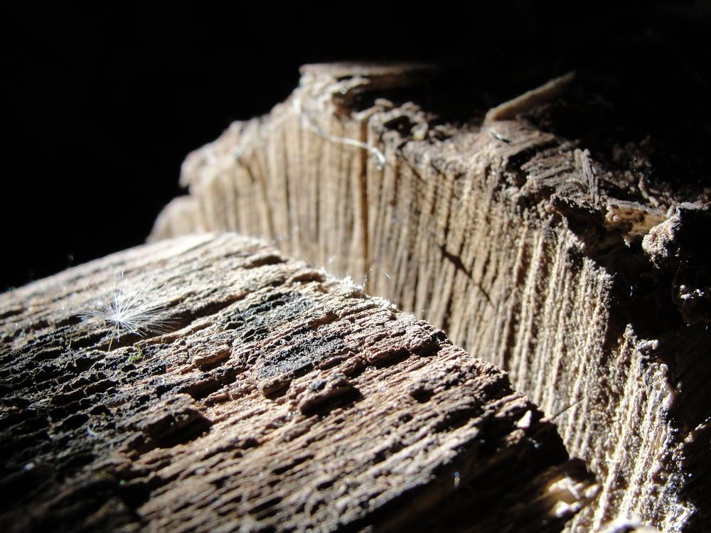 Люмен на карбоне