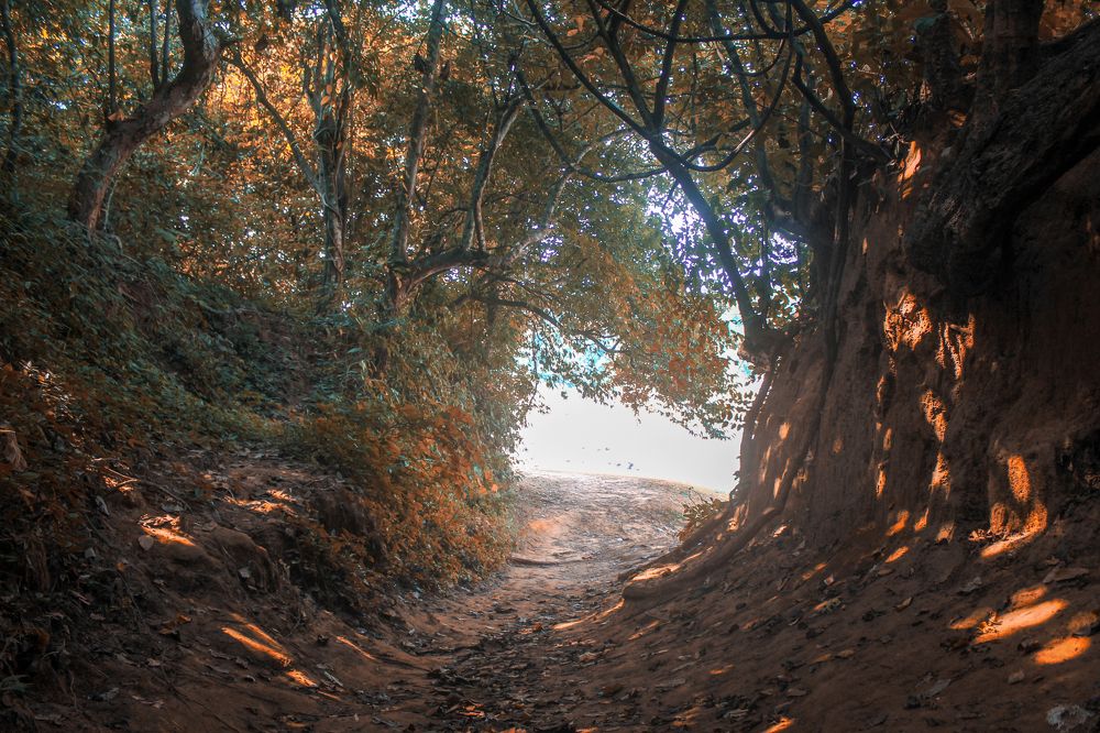 Nature cave