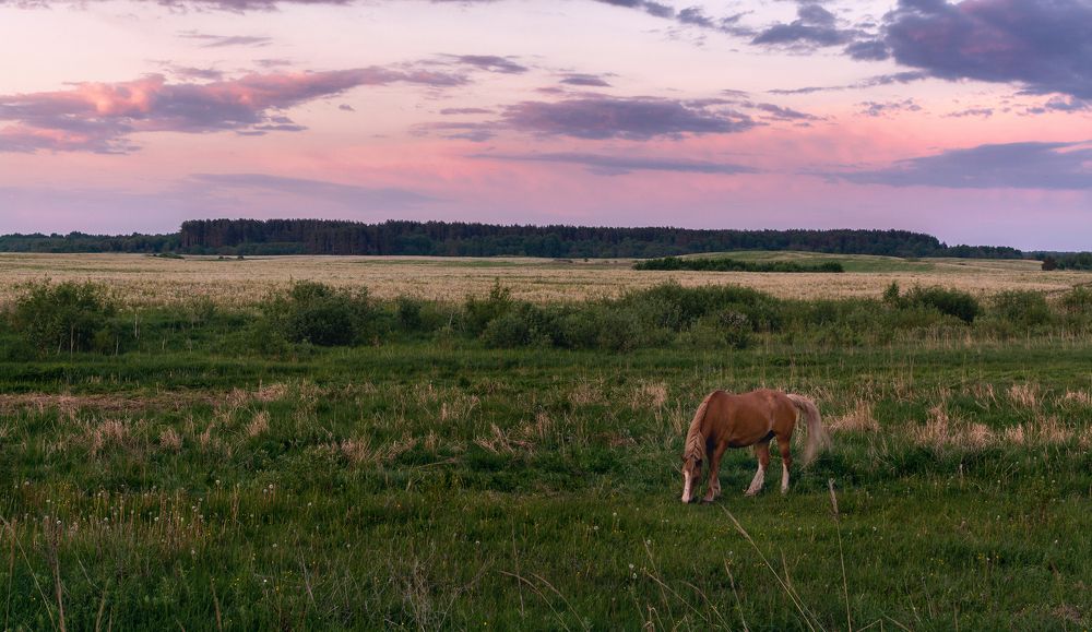Тихий вечер