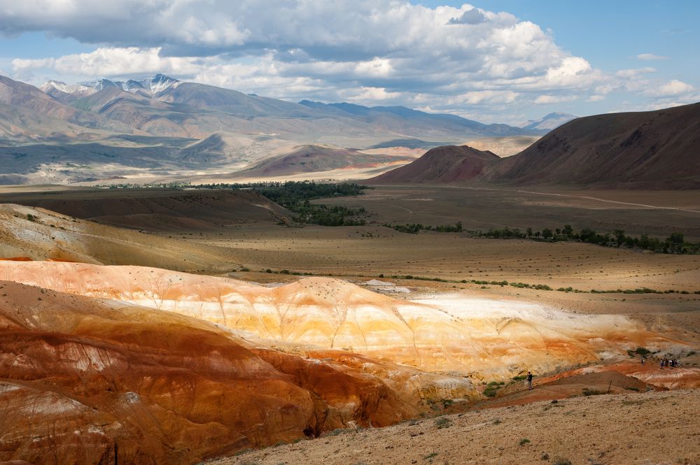 Пестрые пейзажи