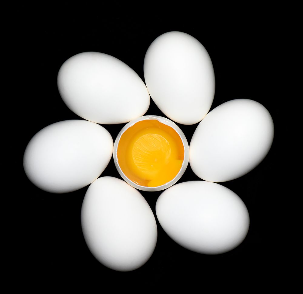 Flower of eggs