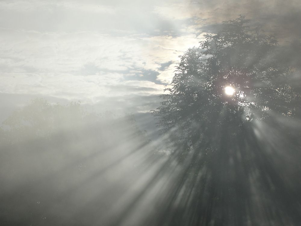 Все как есть