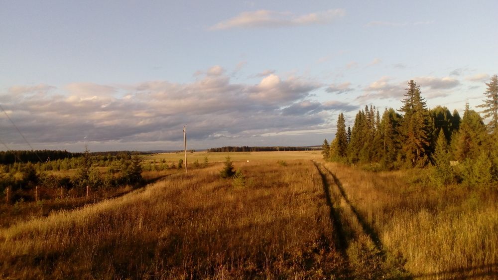 Золото Природы