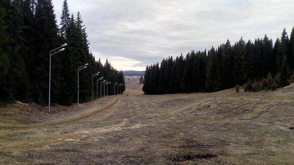 Весна.Май