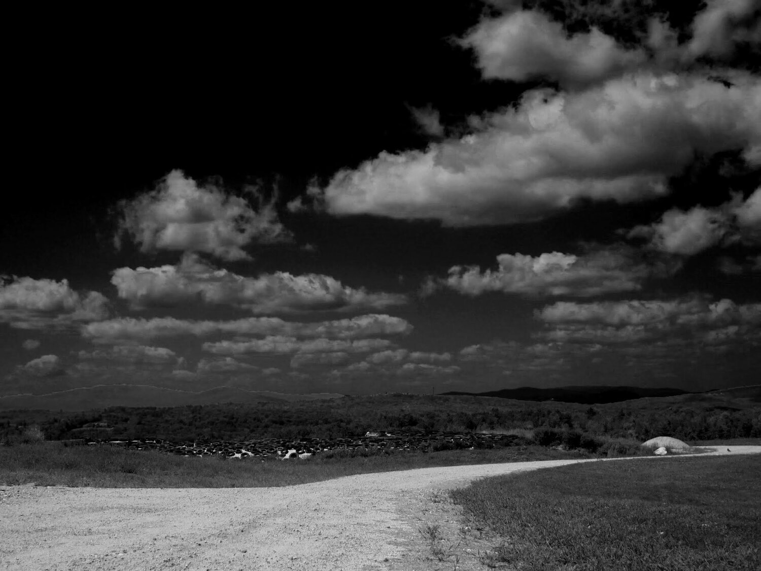 Dark Skies