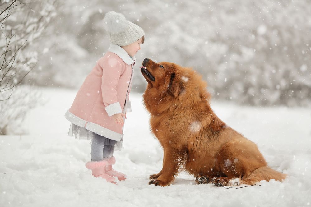 Дашка и Мишка