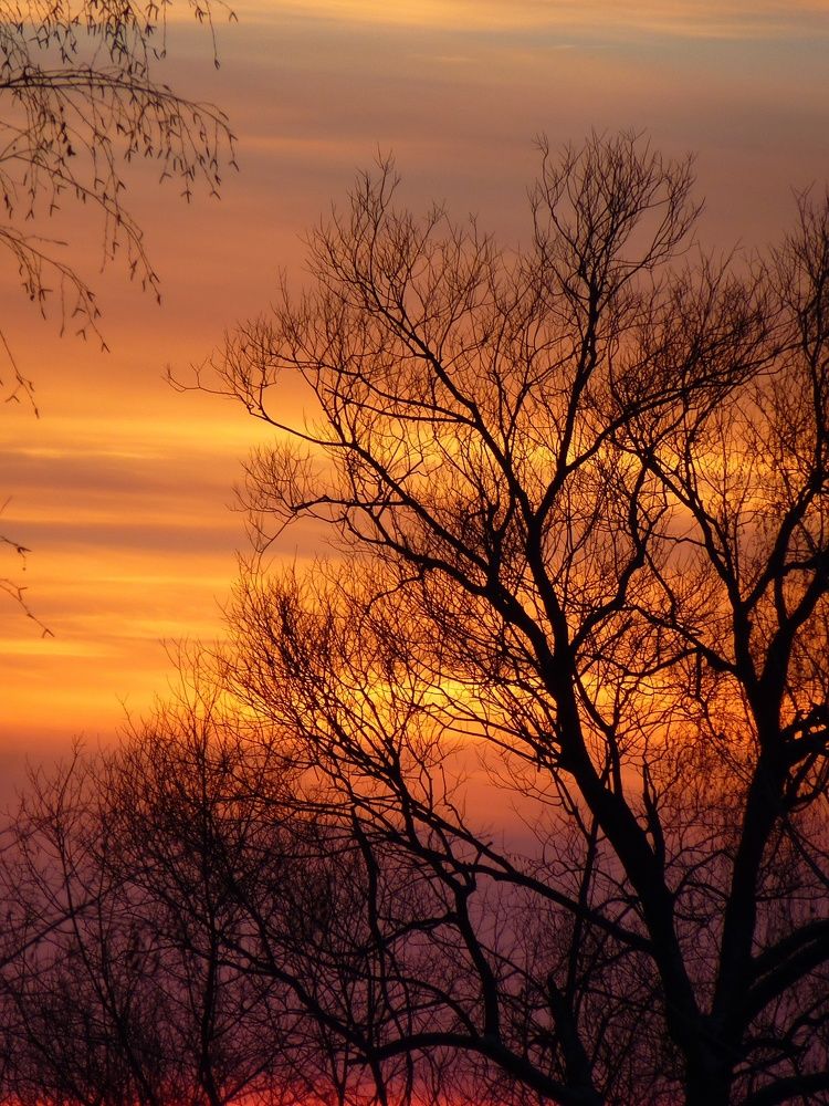 Фотография автора Иван Кириллов