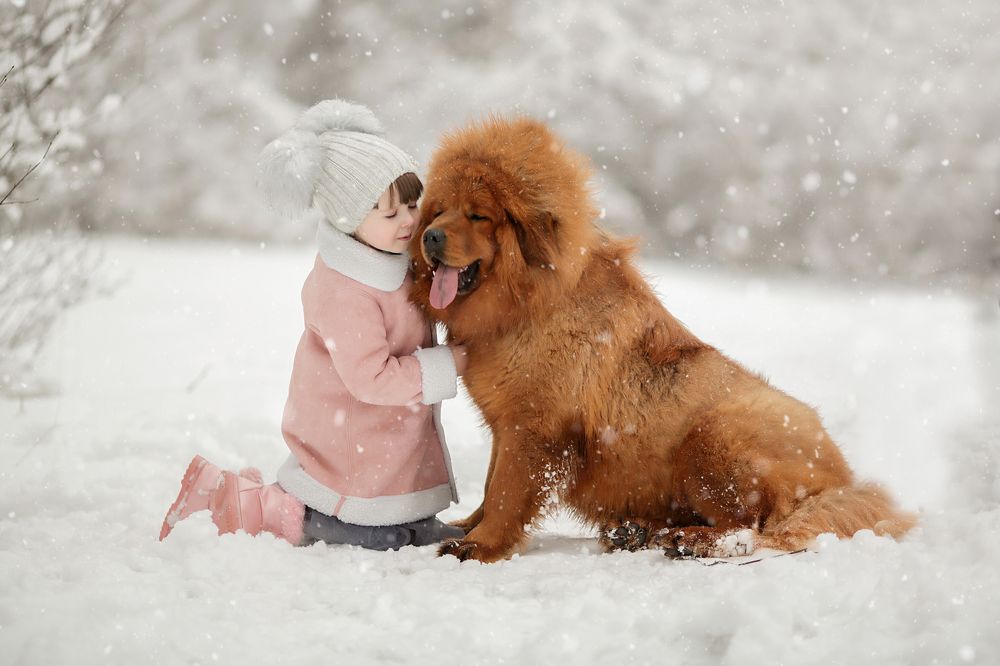 Дашка и Мишка