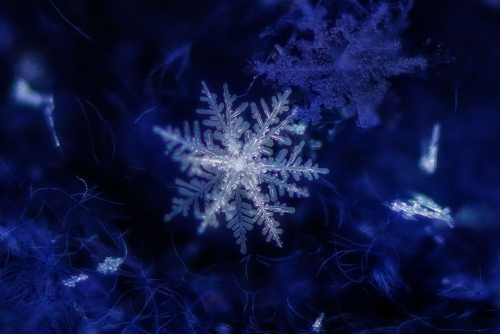 Фотография автора Dolli Pogrebnaya