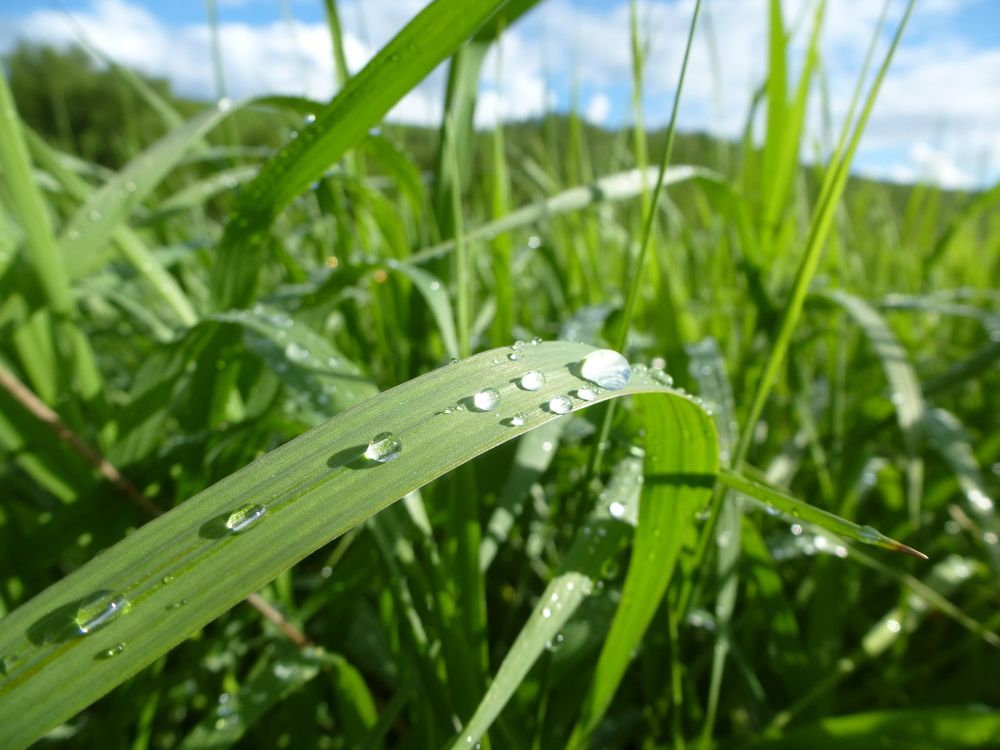 Фотография автора Иван Кириллов