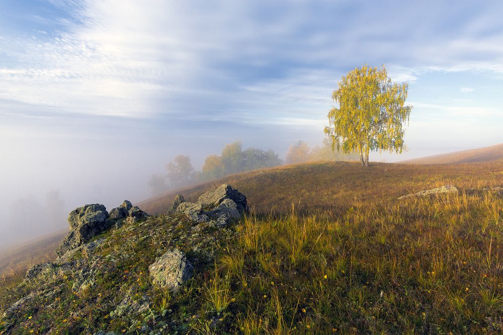 Туманное утро