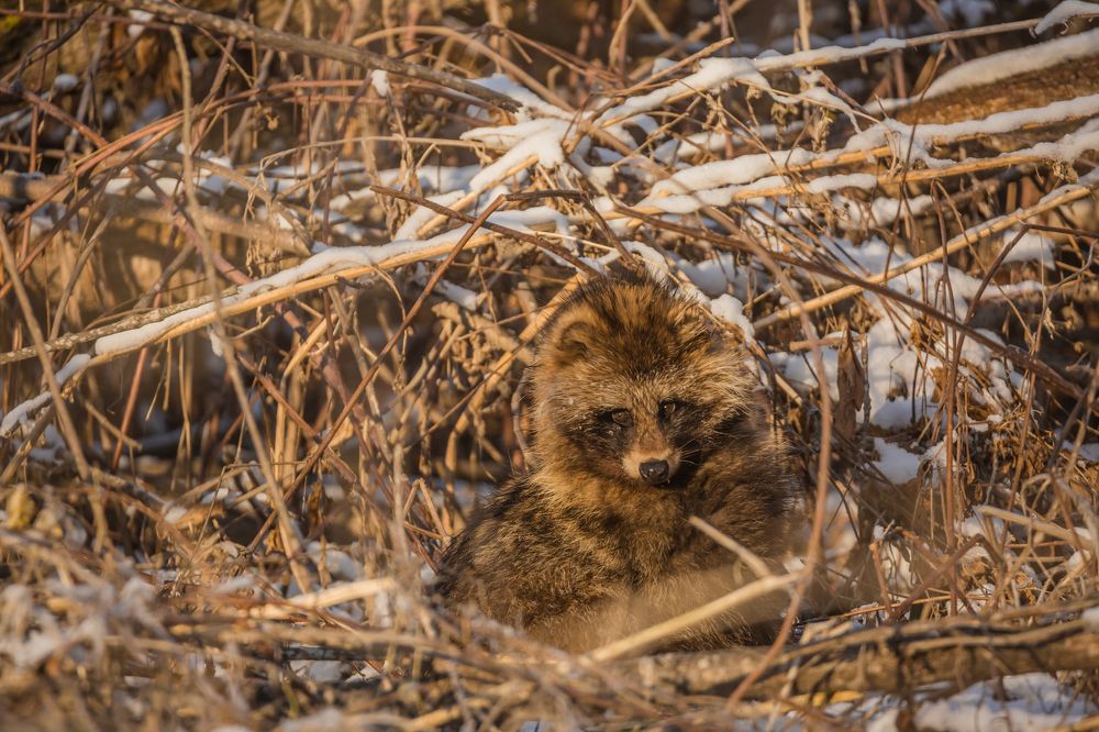 Photograph by Алексей Кашин