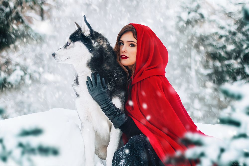 Redhood and gray wolf