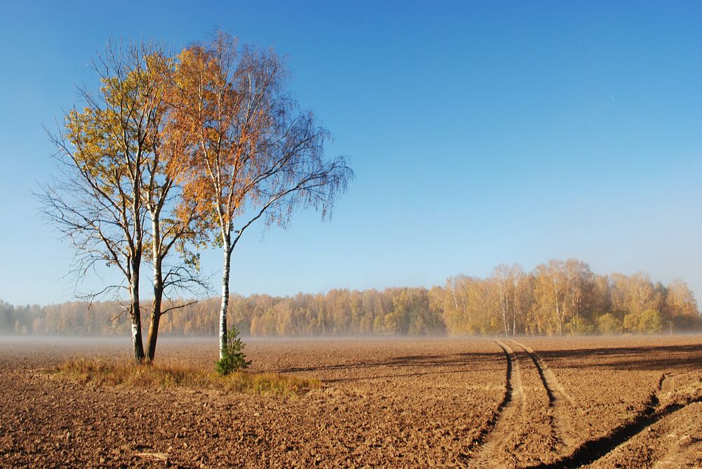 Безмятежность