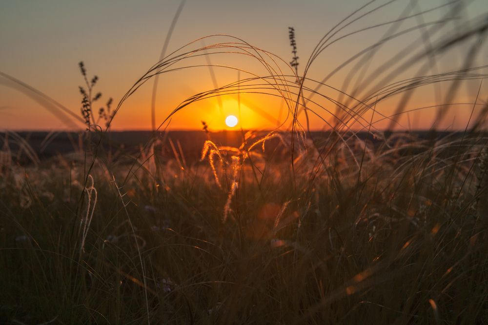 На месте бывшего хутора Алексеевка